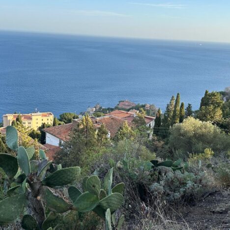 Cartizze – najlepsze prosecco