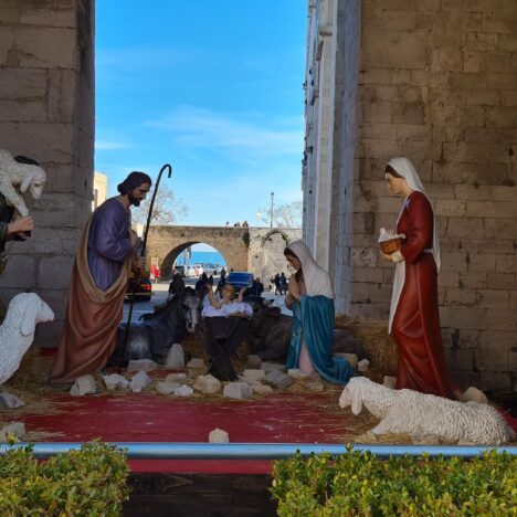 Cartizze – najlepsze prosecco