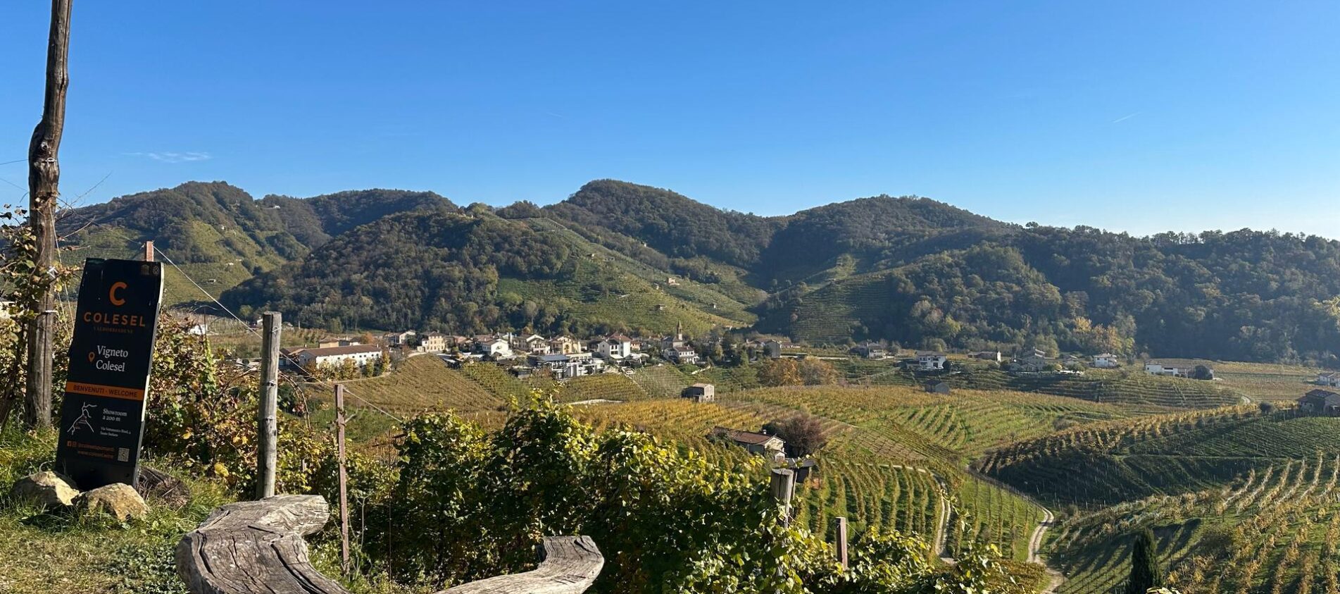 prosecco Cartizze