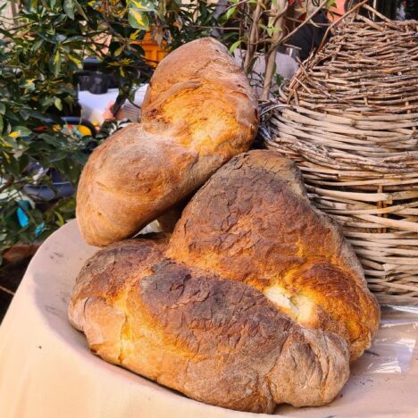 DELIZIA!, czyli włoska kuchnia bez tajemnic