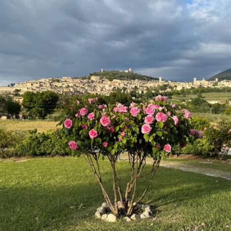 Sagre i feste, czyli włoskie festiwale kulinarne